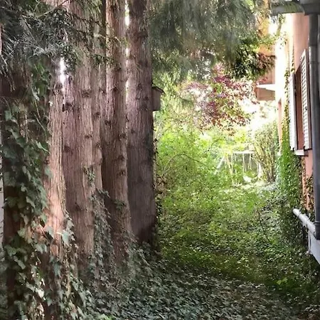 De Charme Au Coeur De La Nature Osenbach