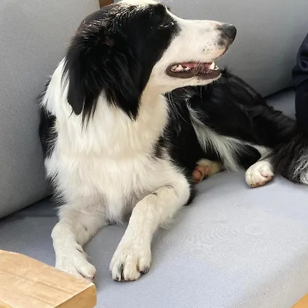 De Charme Au Coeur De La Nature Osenbach