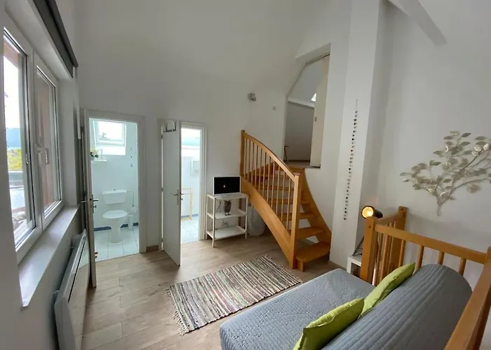 De Charme Au Coeur De La Nature Appartement Osenbach