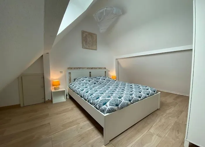 Appartement De Charme Au Coeur De La Nature Osenbach