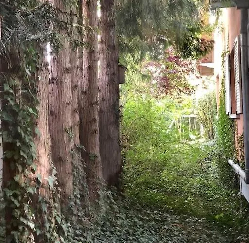 De Charme Au Coeur De La Nature Osenbach
